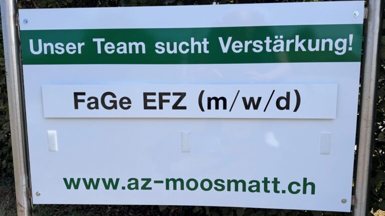 Offene Stellen